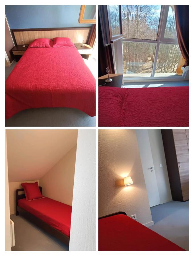 Appartement Le Montagnard 莱代塞尔 外观 照片